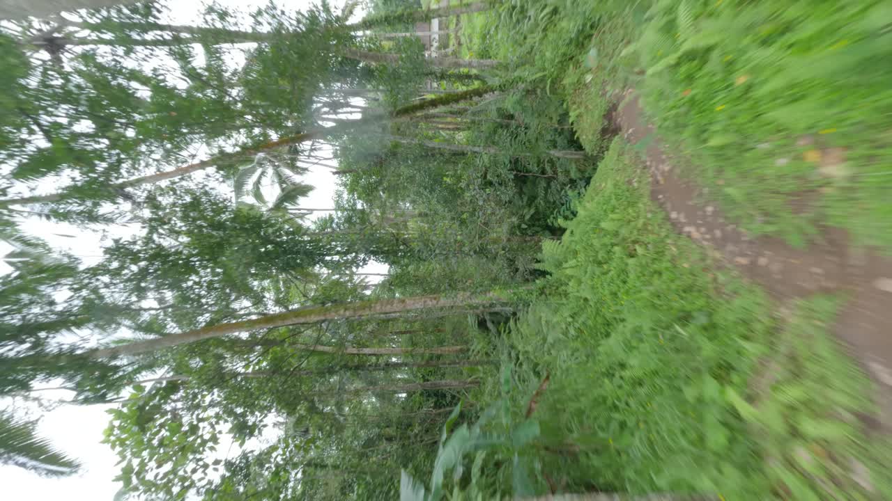 drone vertical fpv disparado entre un denso bosque hasta la cascada oculta de ubud en bali