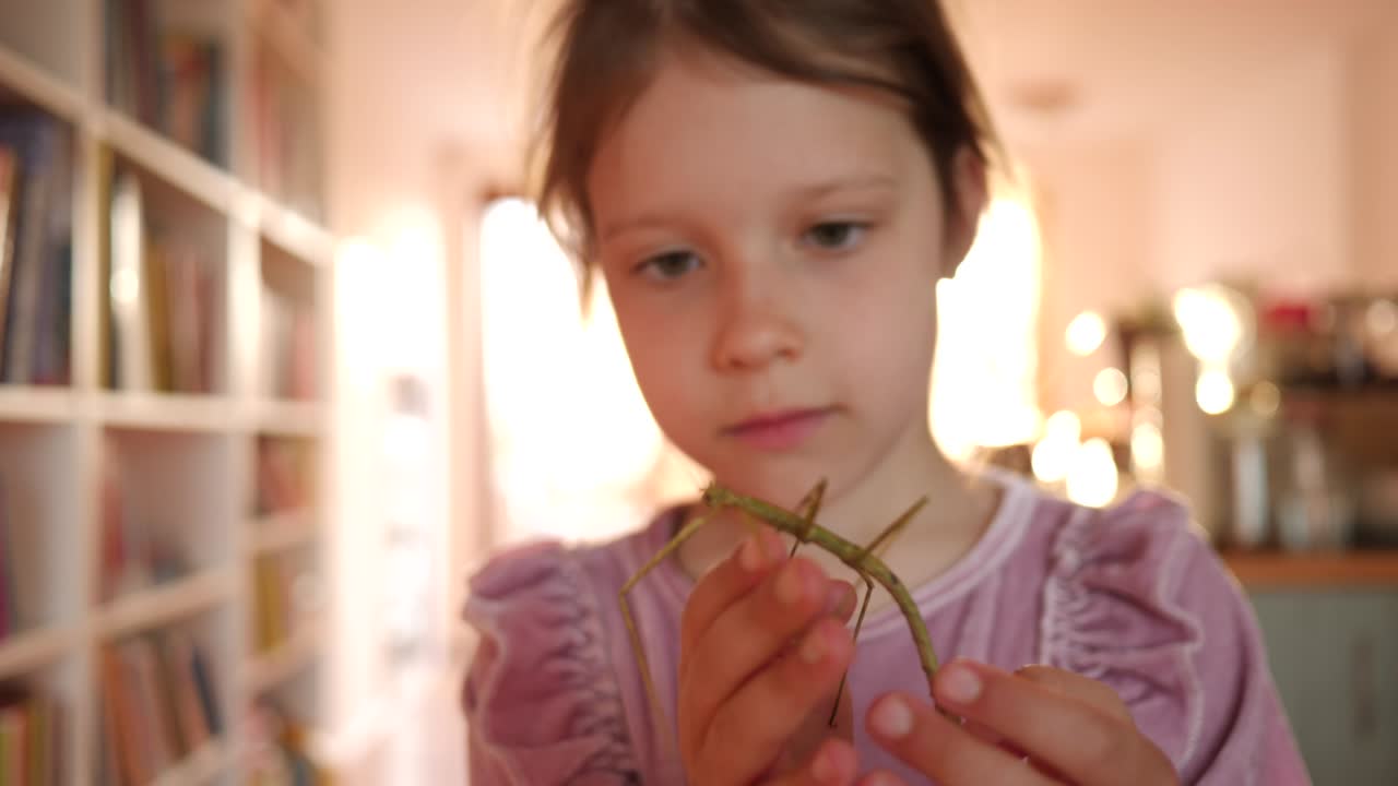 el retrato de una niña linda sostiene una mascota de insecto en las manos y se la pone en la cara en casa divertirse y sonreír
