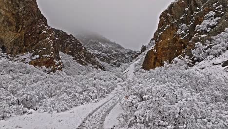 Plataforma-Rodante-Aérea-Sobre-árboles-Nevados-Cubiertos-De-Blanco-A-Lo-Largo-De-Un-Amplio-Sendero-En-La-Entrada-Del-Escarpado-Cañón