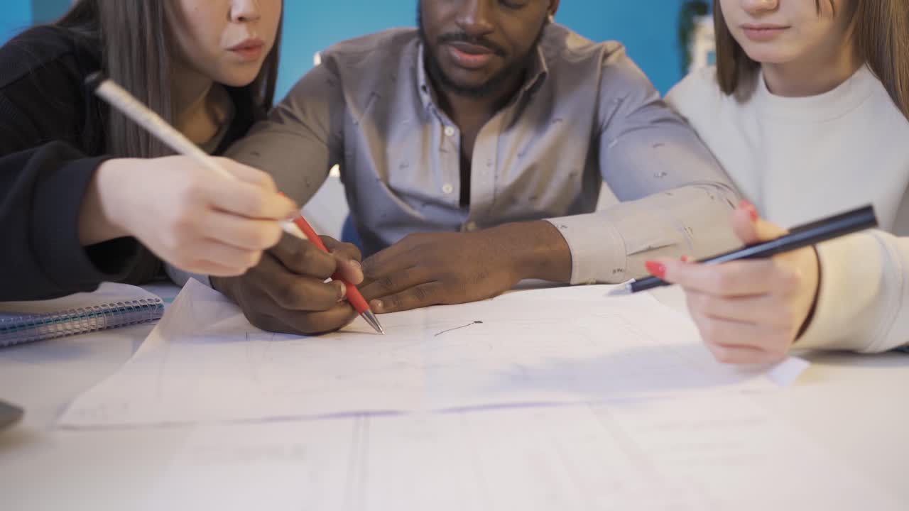 equipo multiétnico que trabaja en el proyecto.