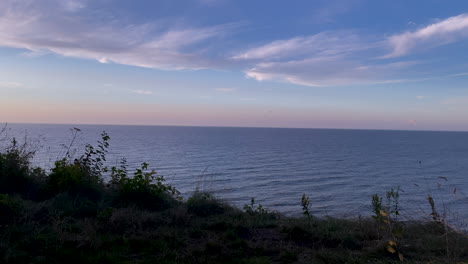 cinematic colorful wide shot of baltic sea during blue hour and plant silhouette in foreground