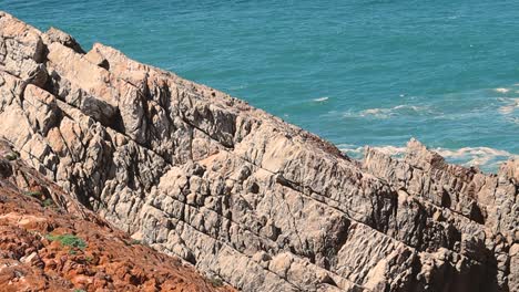 el océano y las olas revelan tiro, costa rocosa, pájaro volando cerca