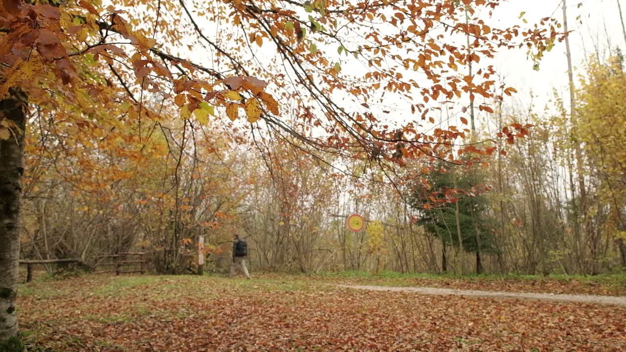 안개 낀 날 노란색과 주황색 단풍으로 둘러싸인 자갈길을 걷는 사람