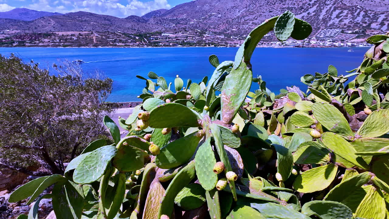 View near Spinalonga Fortress Over the Water with Cacti