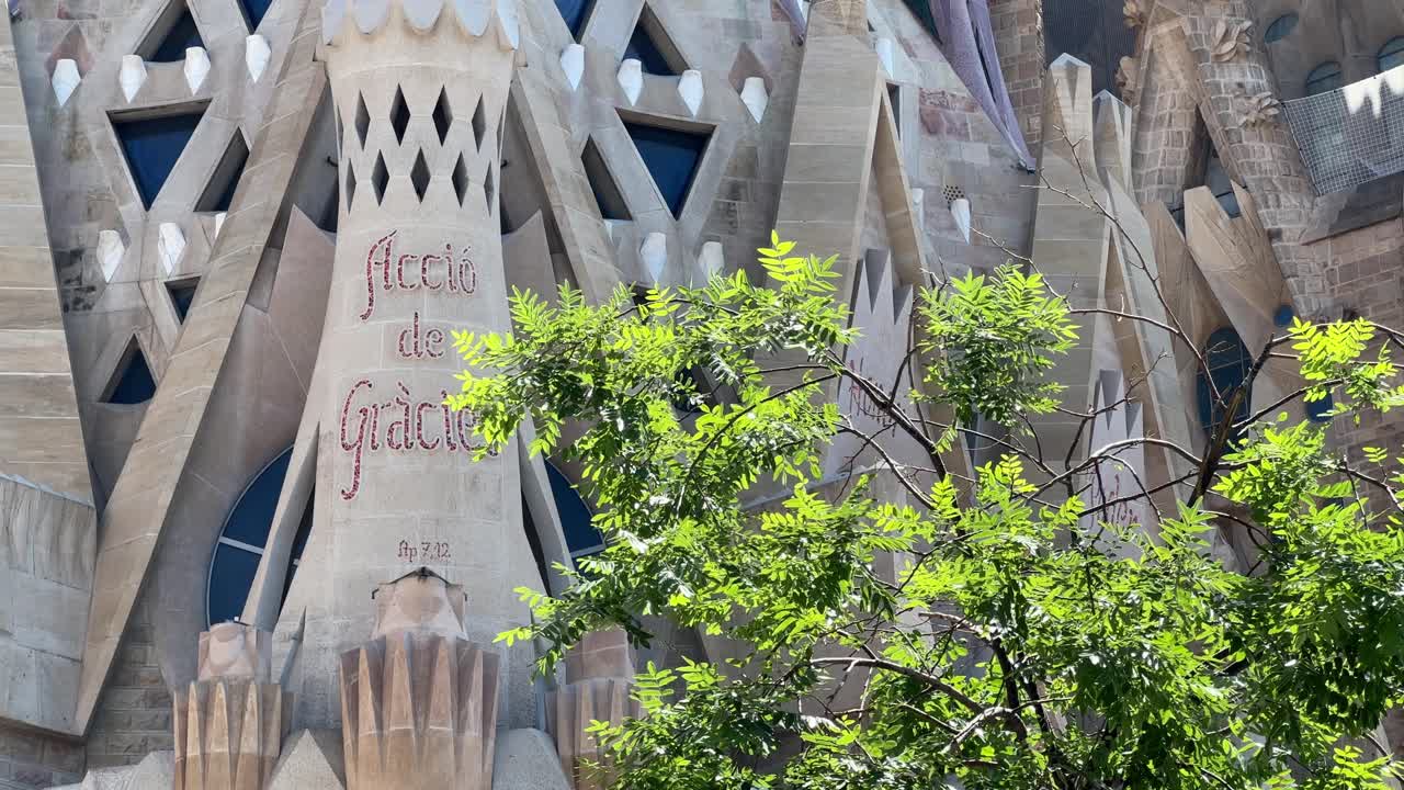 Sagrada familia: detailed shot including a tree
