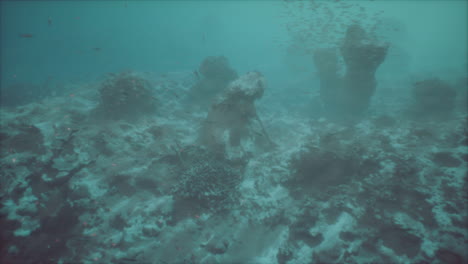 exploring an enchanting underwater world filled with rocks and marine life