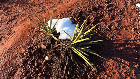 nieve en el desierto de sedona durante el invierno en arizona, estados unidos