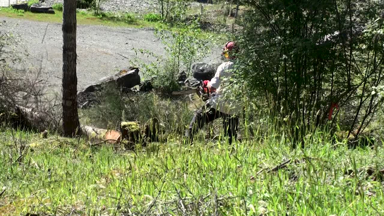 세분화에서 작은 나무를 떨어지는 사람, 가까이