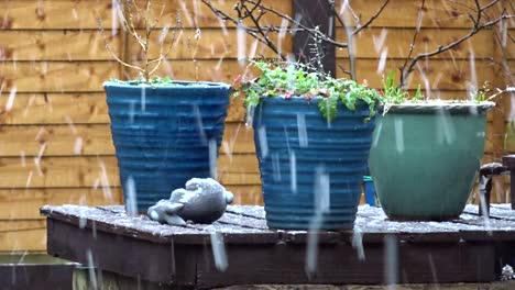 The snow falls softly around 3 plant pots