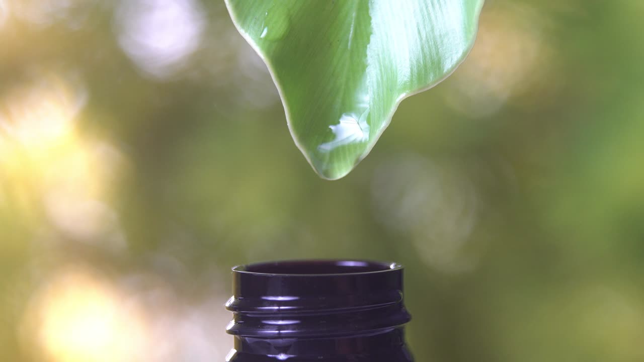 4k, muchas gotas de agua de la hoja verde a la botella con fondo verde de la naturaleza.