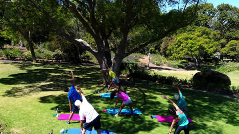 group of people performing stretching exercise in the park 4k