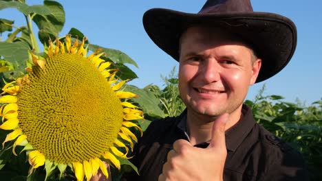 a young farmer examines a flowering sunflower he analyzes the harvest a young farmer examines a flowering sunflower he analyzes the harvest agronomist working on a yellow sunflower field agriculture concept video