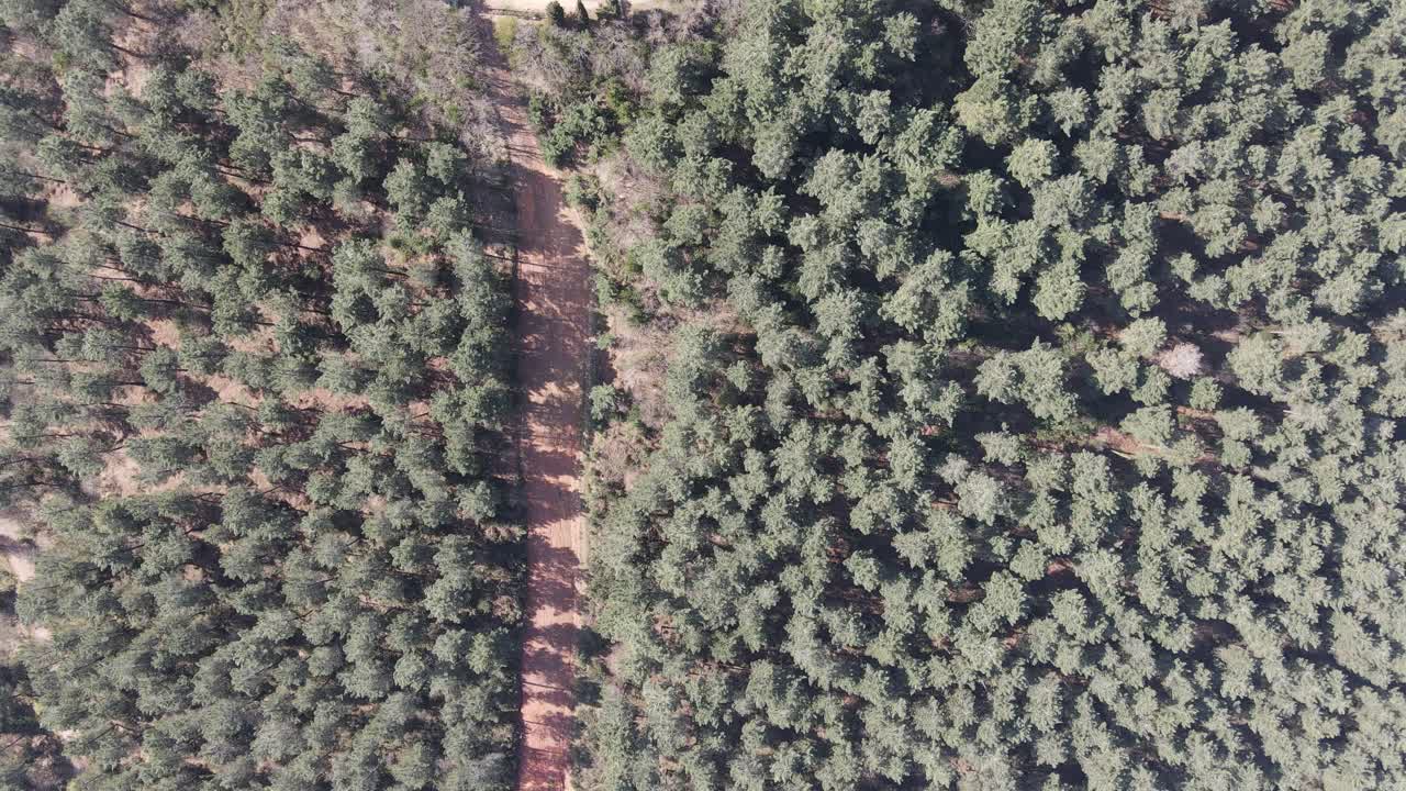 조감도 하향식 역사적인 도시