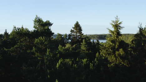 toma en movimiento de un dron de 4k de un gran y hermoso bosque verde junto a un lago azul en suecia