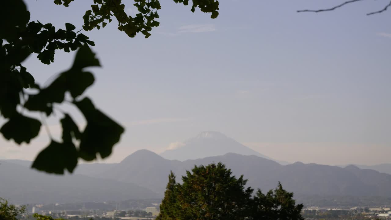 Perfect landscape scenery with Mt. Fuji peaking behind mountains and leaf silhouettes