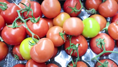 fresh tomatoes arranged in a melbourne supermarket