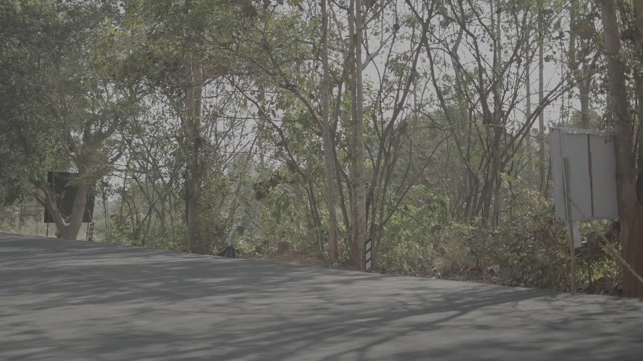 A person walks on a tree-lined rural road with shadows
