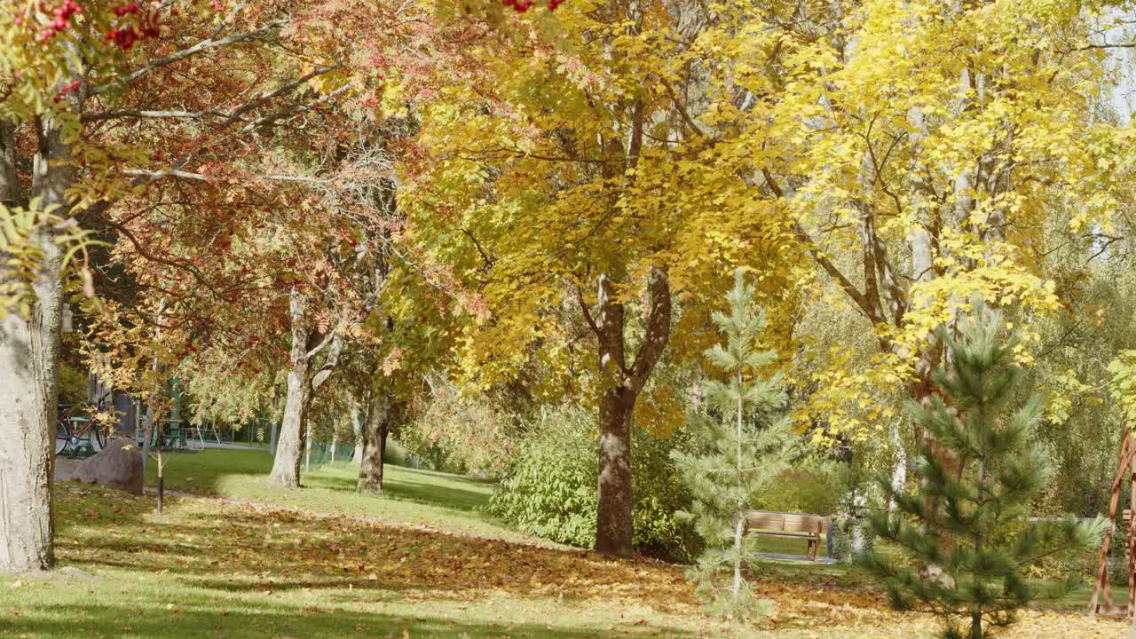 árboles amarillos y naranjos en otoño en el parque, jyvaskyla, finlandia - 60fps, 4k