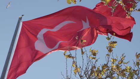 turkish national flag waving on pole on sunny autumn day, close up slow motion