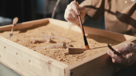 hands of female archaeologist excavating artifacts in sand box