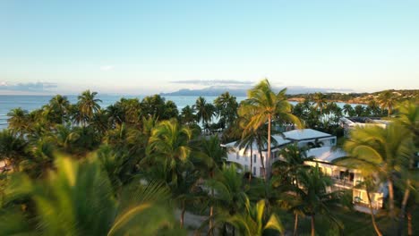 Palm-Trees-And-Houses-At-Caravelle-Beach-In-Sainte-Anne,-Guadeloupe,-France