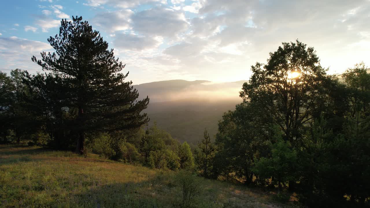 drone de naturaleza salvaje disparó por encima de la cabeza