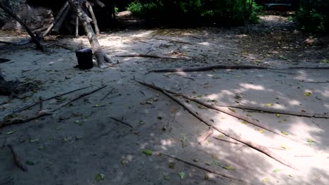 Panning-shot-of-large-Baobab-roots-on-show-through-the-soil-in-Kwale-Island,-Zanzibar