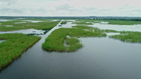 serene wetland with lush greenery and meandering water channels, aerial view