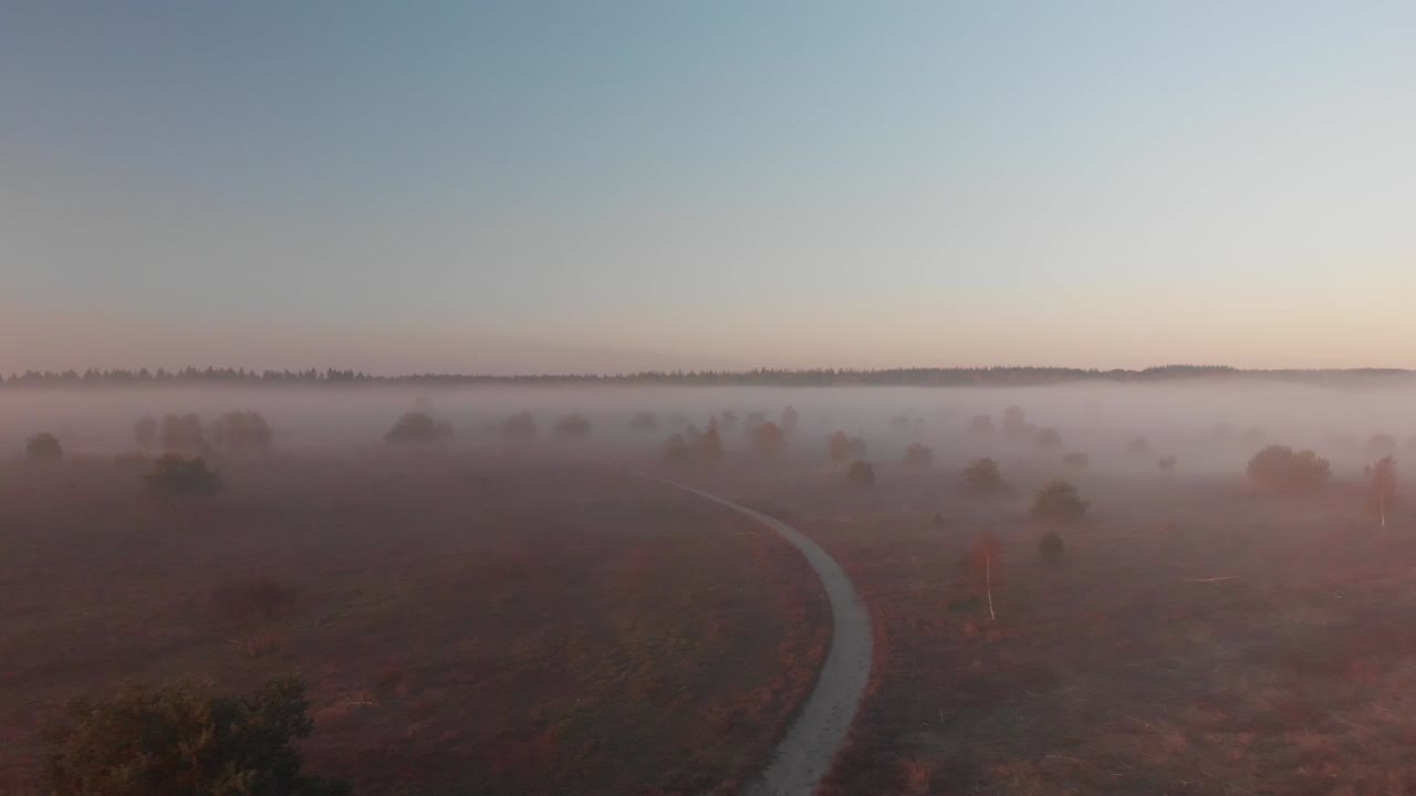 프레임 중앙에 구불구불한 비포장 도로가 있는 황무지의 이른 아침 안개 낀 풍경의 전방 이동 공중 전망