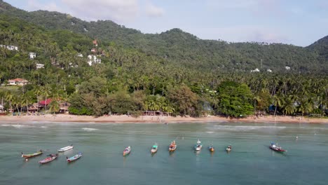 aerial view of sairee beach sandy coastline with tropical trees in background on ko tao, island