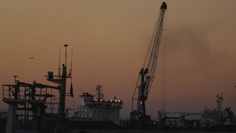 sines harbor in portugal, crane and ships, sunset sky, orange colors and flying bird