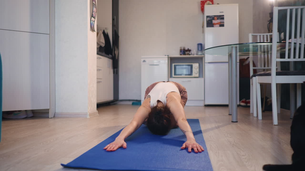 Woman Practices Yoga With Playful Cat, Calm Black Cat Playfully Interrupts Peaceful Yoga Session With Woman, Women Practicing Yoga Alongside Relaxed Black Cat During Playful And Peaceful Routine