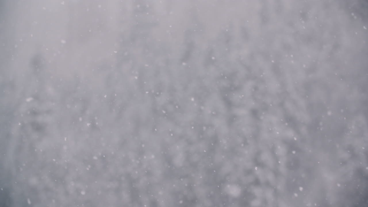 copos de nieve contra árboles cubiertos de nieve en las montañas 1