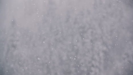 Snowflakes-Against-Snow-Covered-Trees-In-Mountains-1