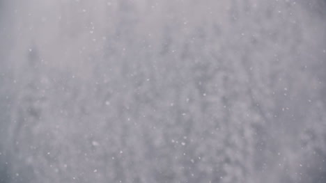 copos de nieve contra árboles cubiertos de nieve en las montañas 1