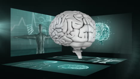 cerebro humano 3d giratorio con pantallas científicas en el fondo