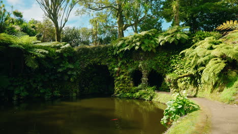 Slow-motion-camera-moving-forward-unveiling-green-lush-tropical-forest-and-a-river-crossing-through-the-natural-park