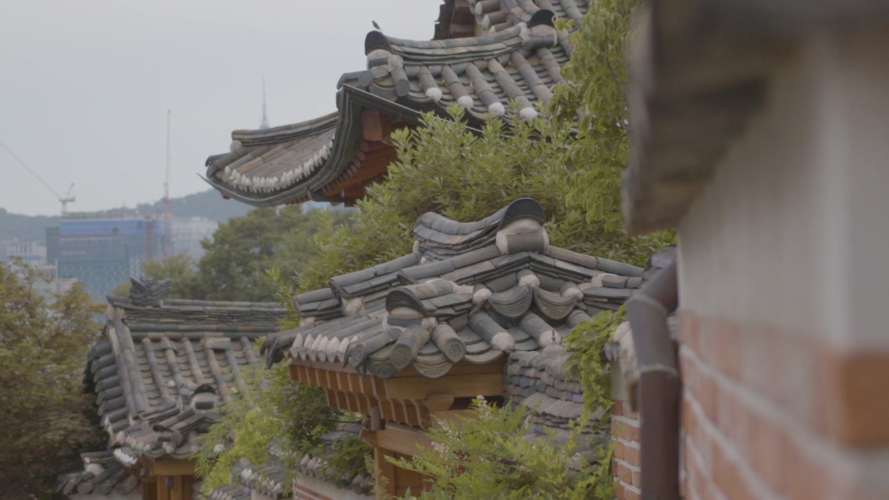 Un uccello saltella sui tetti Giwa e vola via nel villaggio di Bukchon Hanok, Seul