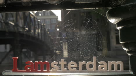 amsterdam y la red de araña