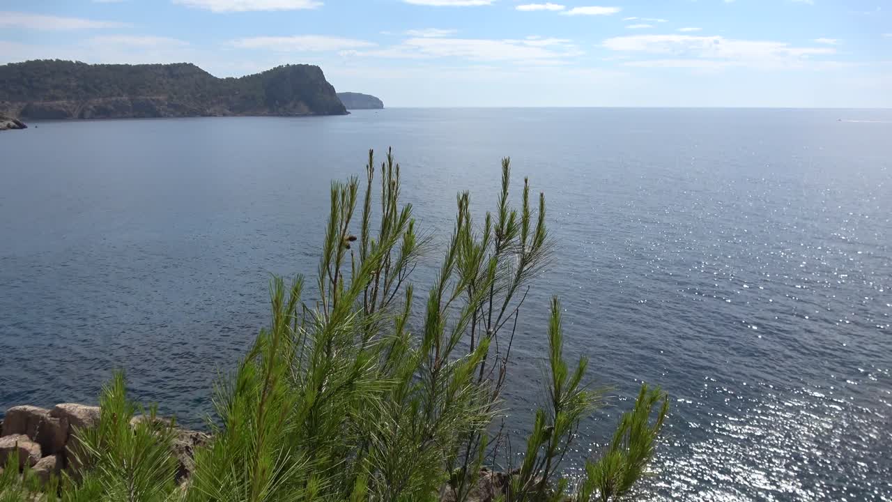 Naturaleza y paisajes en la isla de Ibiza.