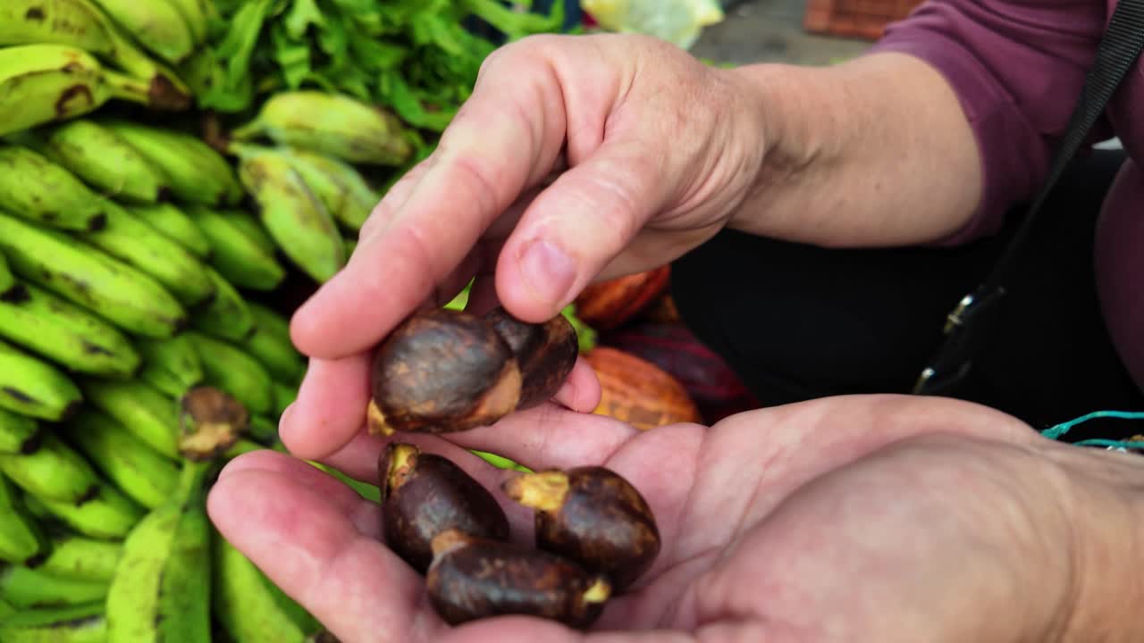 Hands hold freshly harvested bread flower seeds, surrounded by colorful produce in a bustling Latin American market. The atmosphere is lively and nutrient-rich, showcasing local agriculture.