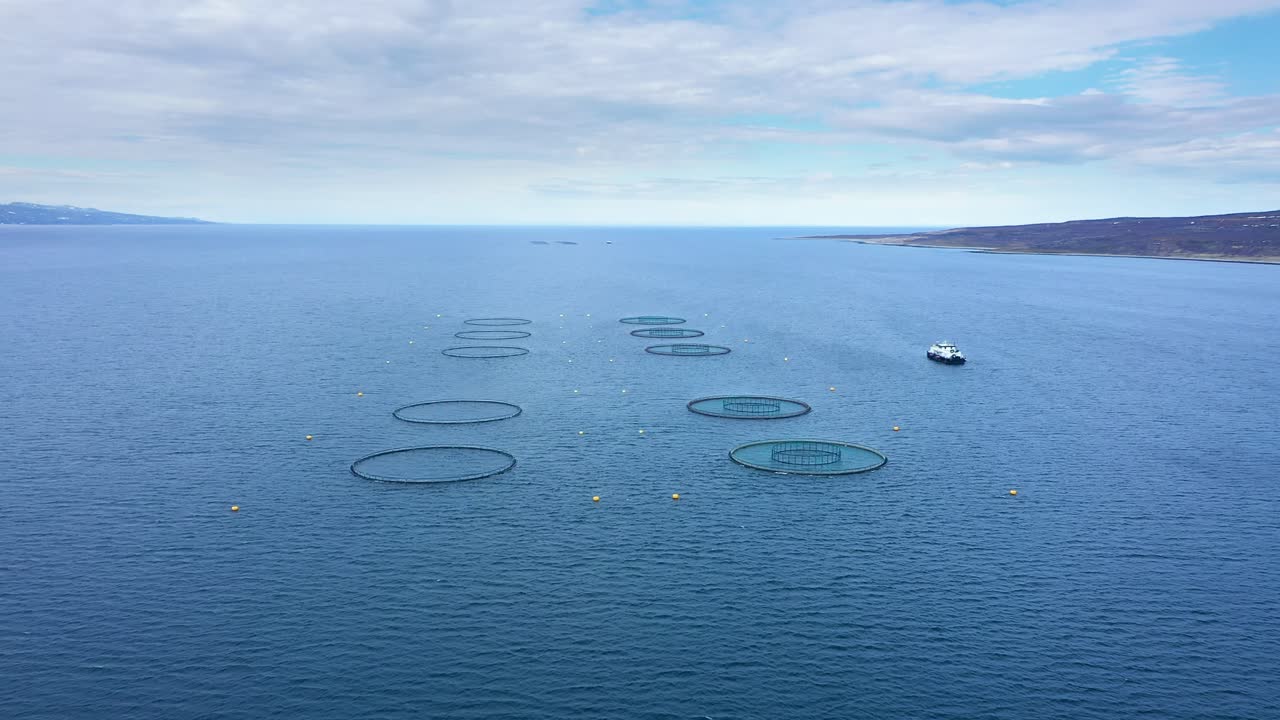 노르웨이에서 연어  ⁇ 시를 하는 공중 촬영