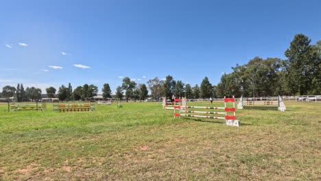 caballo saltando sobre obstáculos en un campo abierto