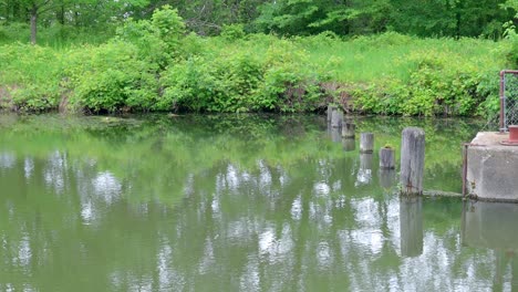 Pan-De-Restos-De-Una-Presa-En-El-Histórico-Canal-Hennipen-Con-árboles-A-Lo-Largo-De-La-Orilla-Y-Reflejando-En-Aguas-Tranquilas