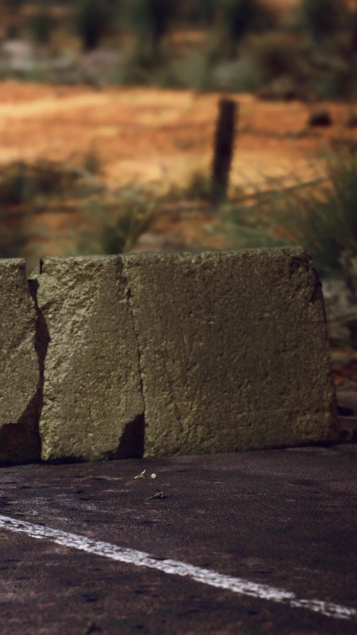 Rock resting on ground near grass and foliage in outdoor setting