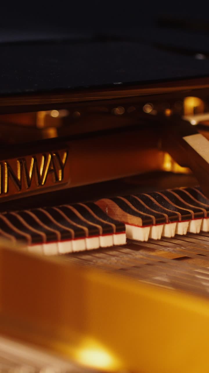 Closeup of Piano Keys and Action Mechanism