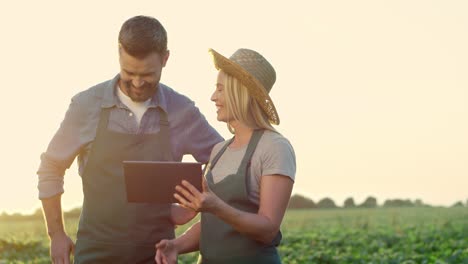 Apuestos-Jóvenes-Agricultores-Sonrientes-Parados-En-Medio-Del-Campo-Al-Atardecer-Y-Viendo-Algo-En-La-Tableta