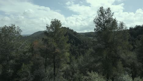 lush green trees cover the undulating hills, a tranquil scene of untouched nature unfolds under a cloudy sky, offering a peaceful escape into the wilderness