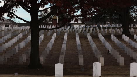 Trucking-shot-showing-many-military-tombstones-of-Fayetteville-National-cemetery-in-USA