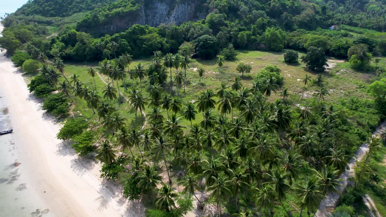 árbol de palma tropical junto a la playa de arena blanca y el océano en la isla de koh samui, tailandia